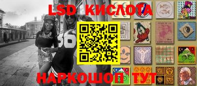 шишки Новодвинск