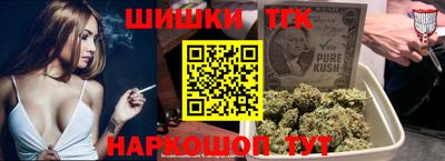 шишки Новодвинск