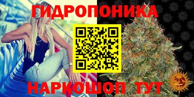 каннабис Новокубанск