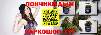 шишки Новодвинск