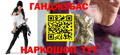 шишки Новодвинск