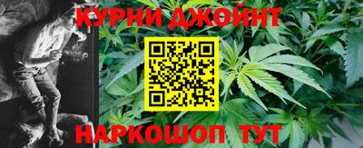 шишки Новодвинск