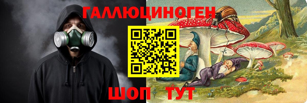 Баксан  Псилоцибиновые грибы GOLDEN TEACHER  Галлюциногенные грибы Magic Shrooms  как найти наркотики  Вход с VPN 